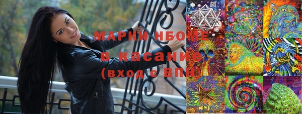 соль ск Богородицк