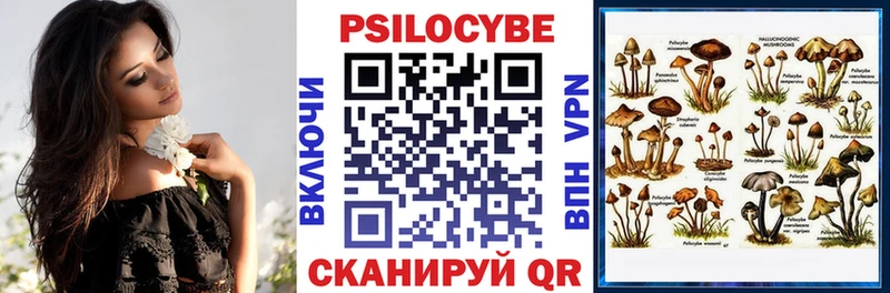 Галлюциногенные грибы мицелий  гидра как войти  Кубинка  хочу наркоту 