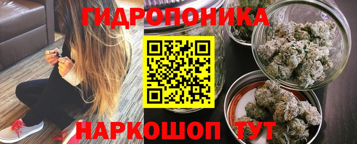 Канабис планчик Кубинка